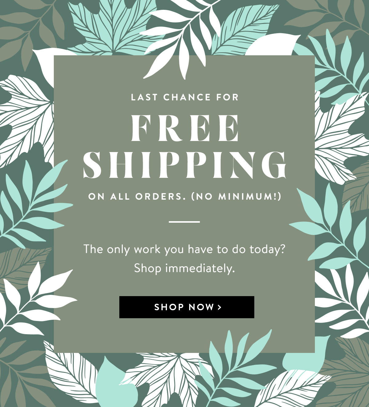 Last Chance Free Shipping | Shop Now