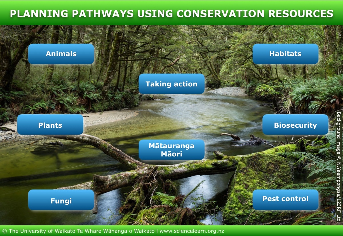 https://www.sciencelearn.org.nz/image_maps/83-planning-pathways-using-conservation-resources