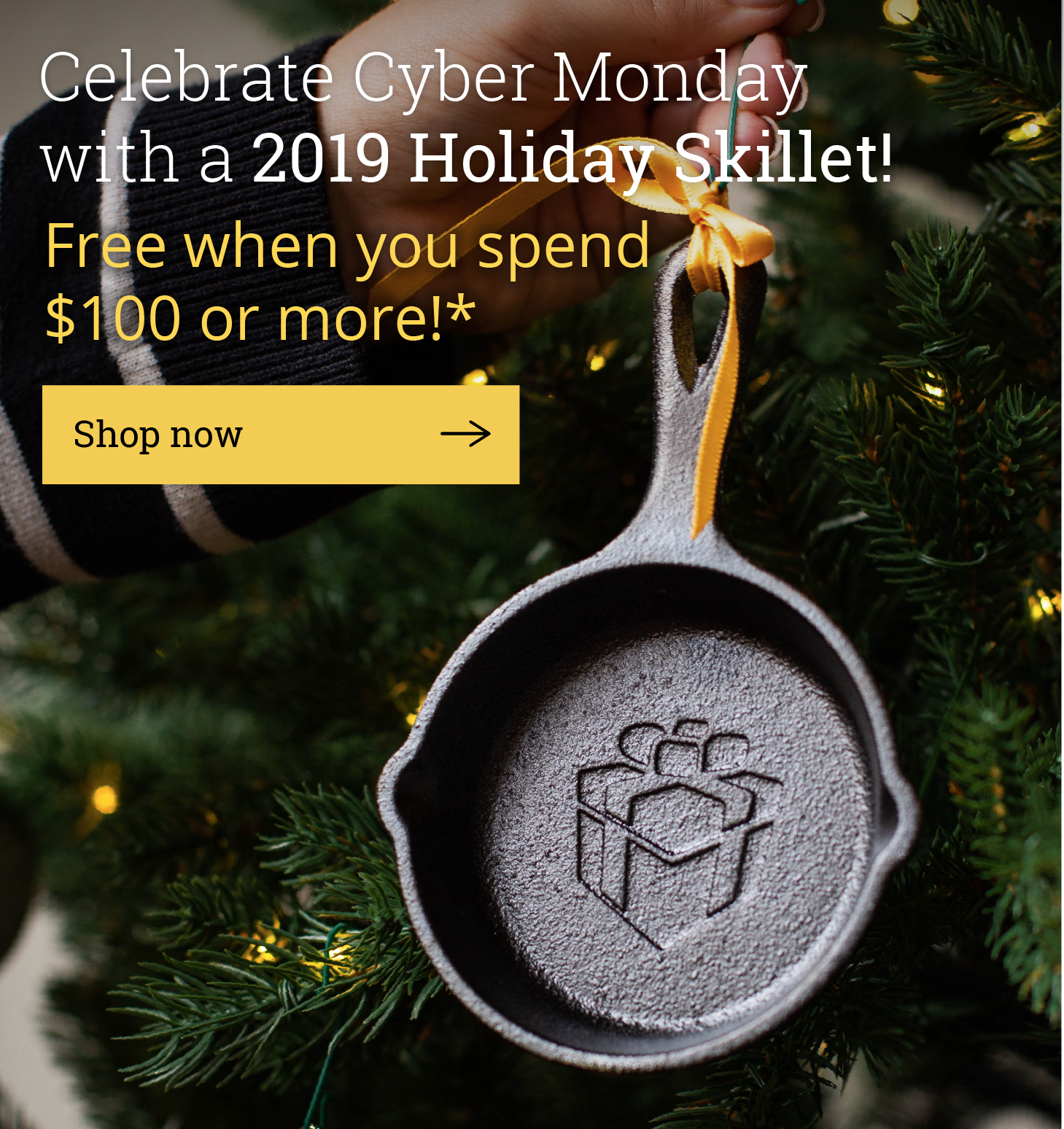 Celebrate Cyber Monday with a 2019 Holiday Skillet!  Free when you spend $100 or more!* {Shop now ?}
