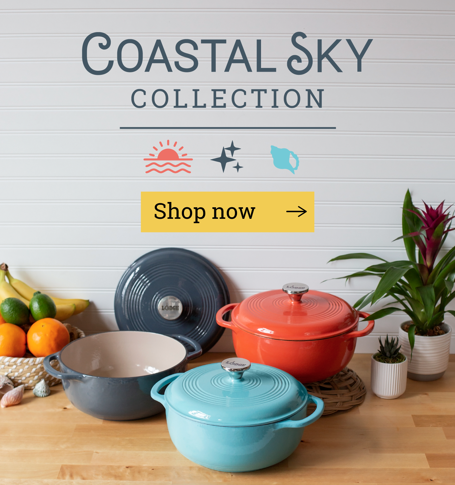 Coastal Sky Collection [Shop now]