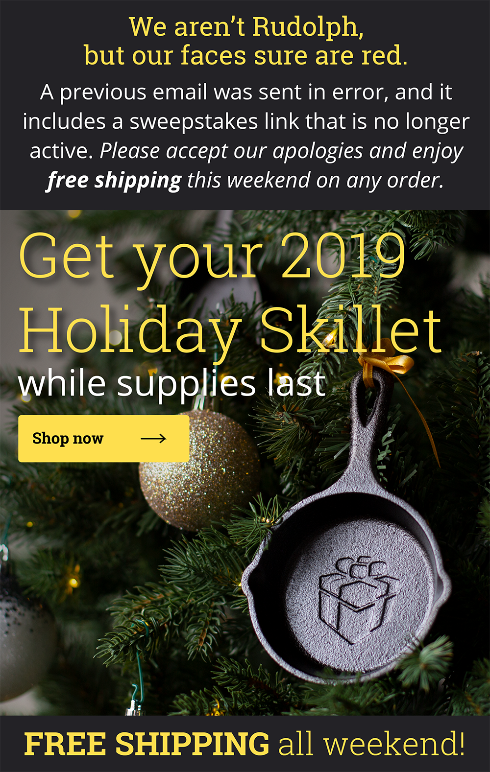 Get your 2019 Holiday Skillet while supplies last!
