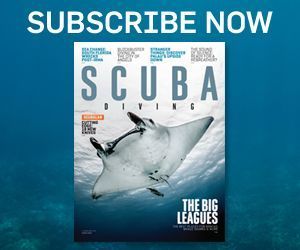 Subscribe to Scuba Diving