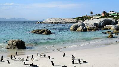 The 10 best Cape Town beaches