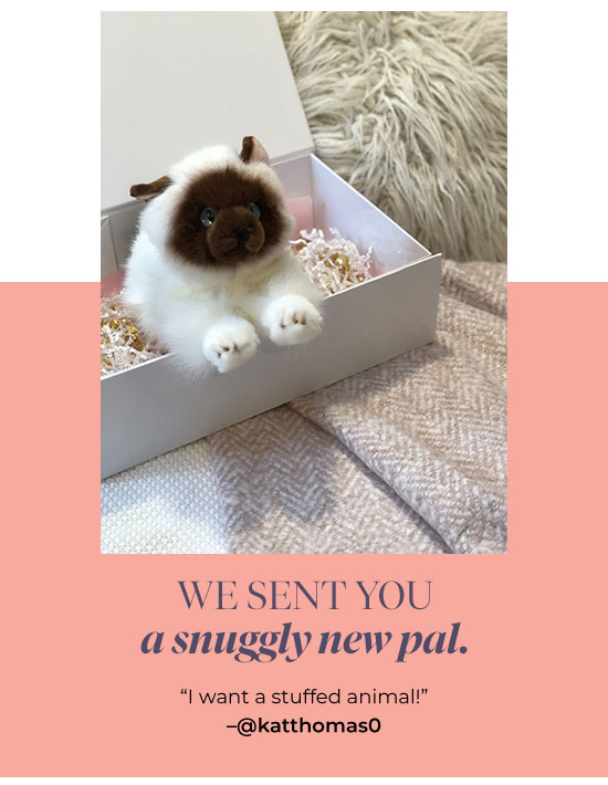 We sent you a snuggly new pal