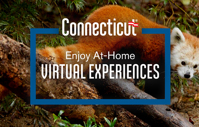 Virtual Experiences during COVID-19