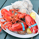 For Lobster Lovers
