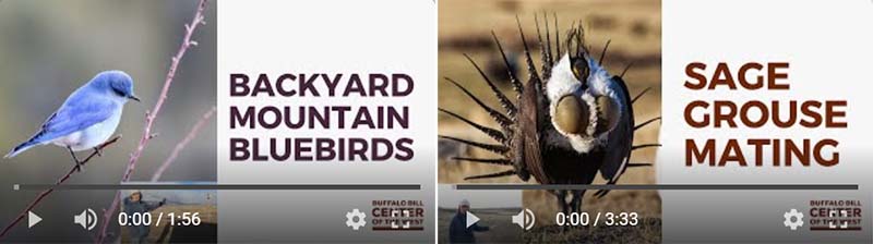 Backyard Briefings video series: explore natural science