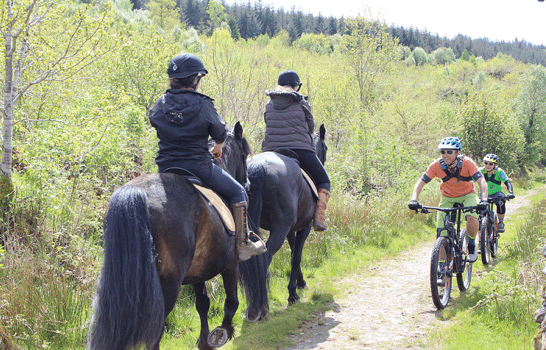 Cycling around horses