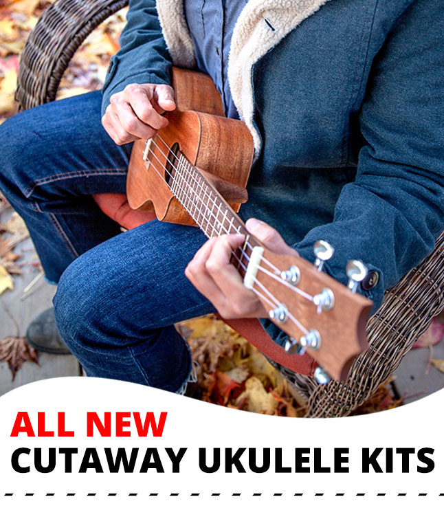 $125 Off Wilkinson Guitar Kits