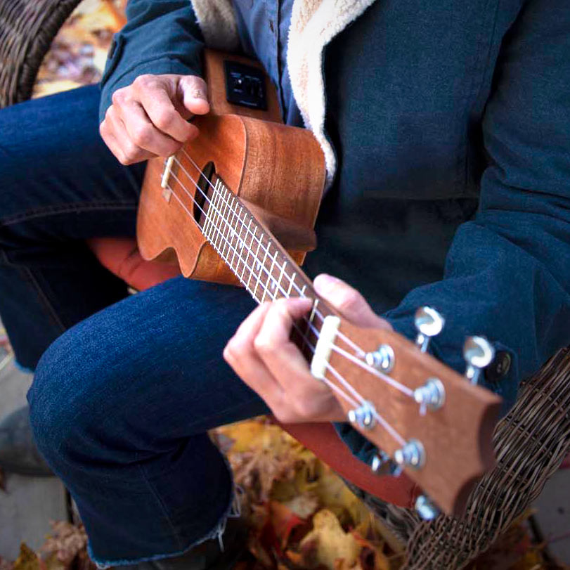 New! Cutaway Ukulele Kits