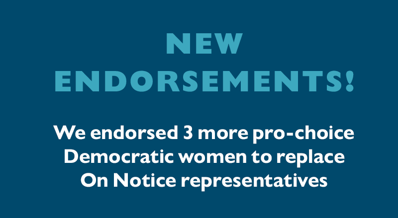 NEW ENDORSEMENTS!
We endorsed three more pro-choice Democratic women to replace On Notice representatives