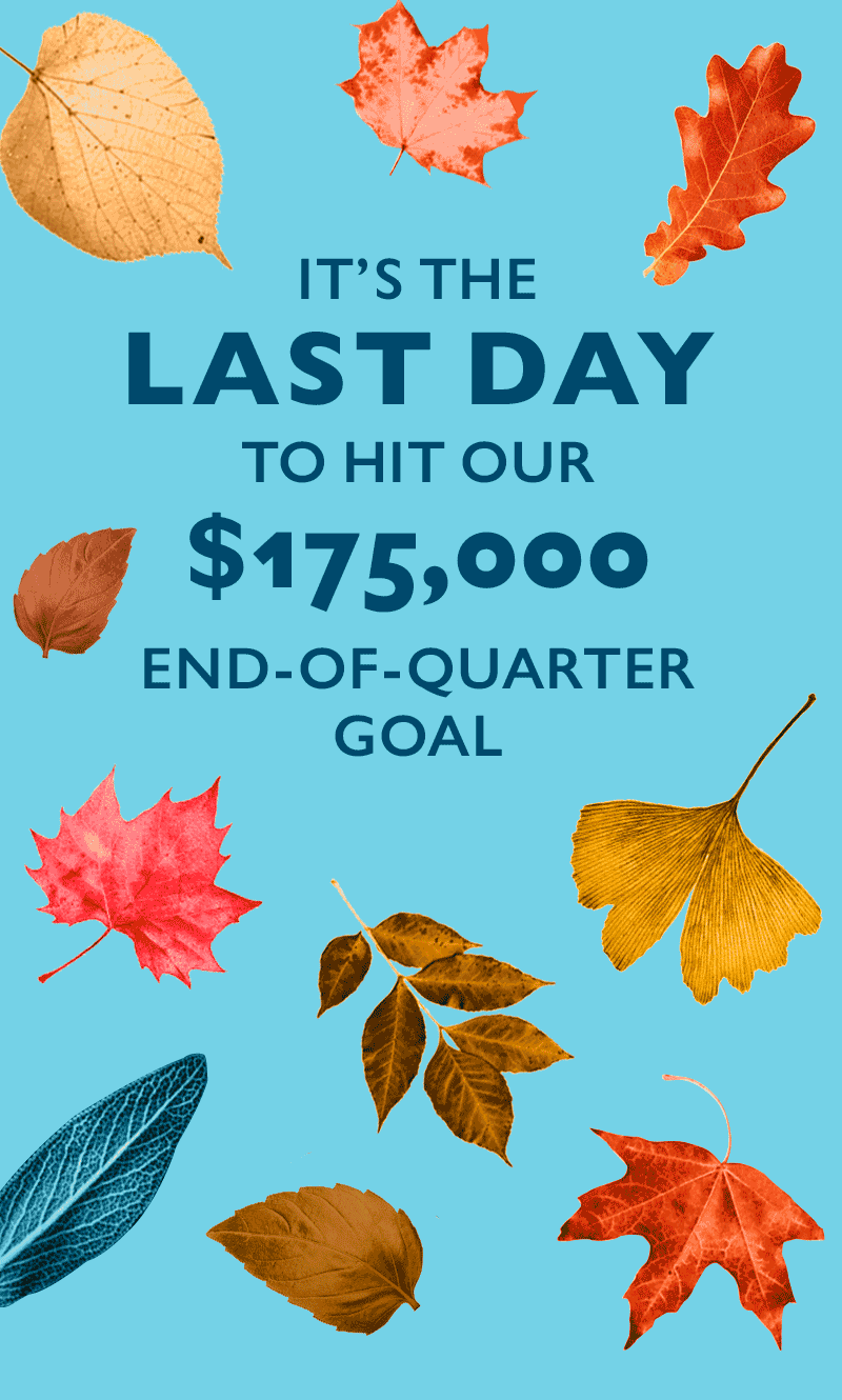It's the 
LAST DAY 
to hit our $175,000 End-of-Quarter goal