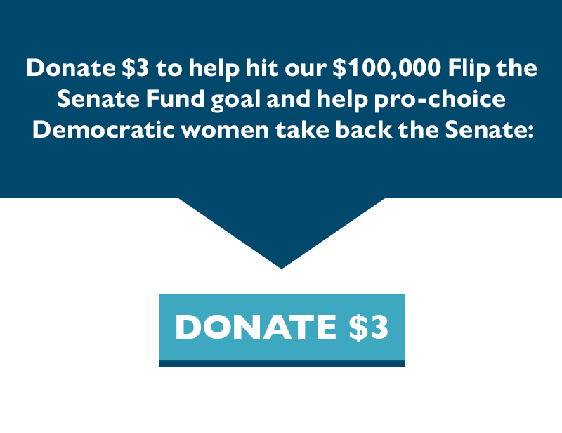 Donate $3 to help hit our $100,000 Flip the Senate fund goal and help pro-choice Democratic women take back the Senate.