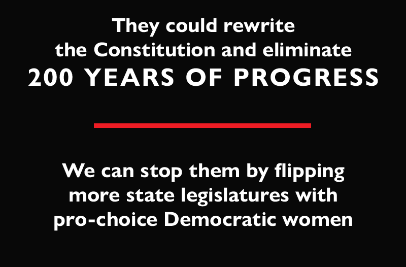They could rewrite the Constitution and eliminate 200 years of progress.
We can stop them by flipping more state legislatures with pro-choice Democratic women.