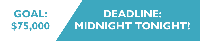 Goal: $75,000
Deadline: Midnight Tonight!