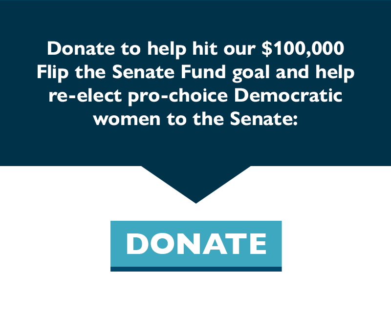 Donate to help hit our $100,000 Flip the Senate Fund goal and help re-elect pro-choice Democratic women to the Senate.