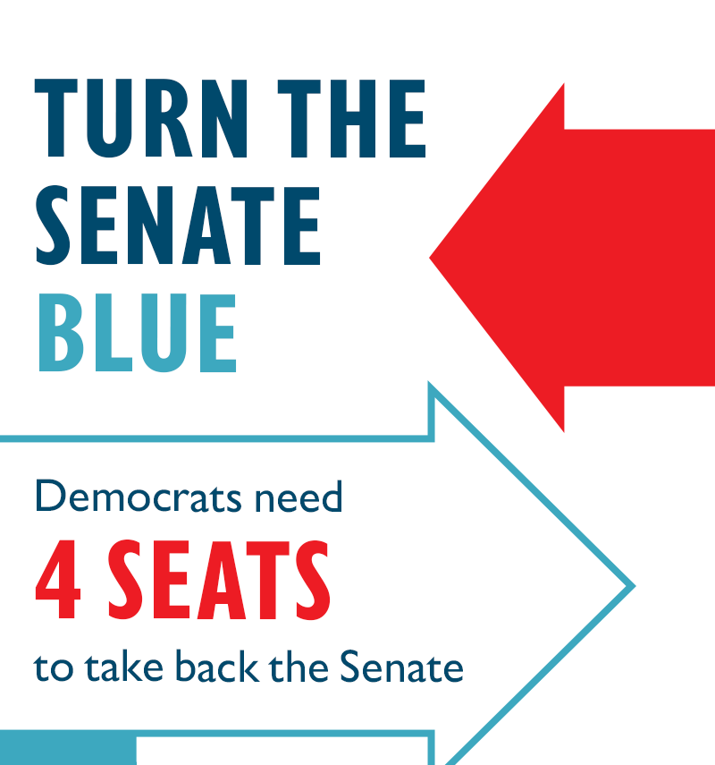 TURN THE SENATE BLUE

Democrats need four seats to take back the Senate
