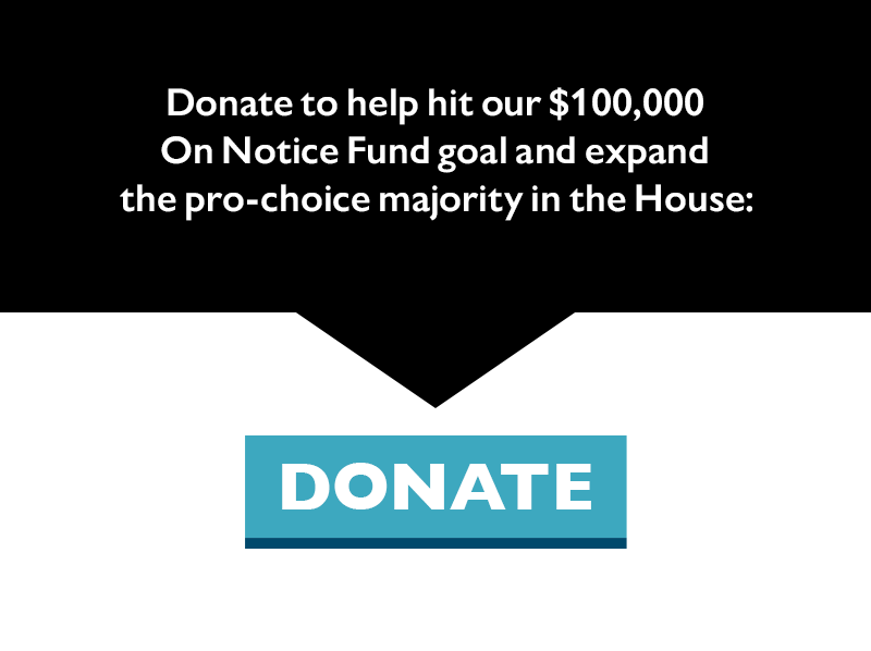 Donate to help hit our $100,000 On Notice Fund goal and expand the pro-choice majority in the House.