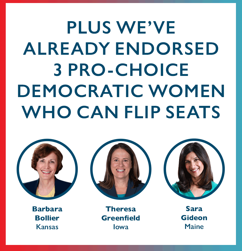 Plus we've already endorsed three pro-choice Democratic women who can flip seats: 
Barbara Bollier (KS)
Theresa Greenfield (IA)
Sara Gideon (ME)