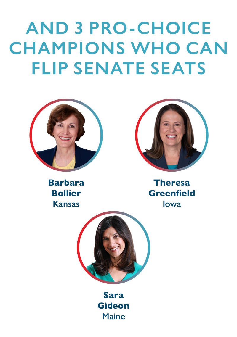 And three pro-choice champions who can flip Senate seats:
Barbara Bollier (Kansas)
Theresa Greenfield (Iowa)
Sara Gideon (Maine)
