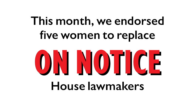 This month, we endorsed five women to replace ON NOTICE House lawmakers.