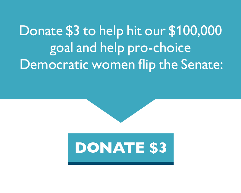Donate $3 to help hit our $100,000 goal and help pro-choice Democratic women flip the Senate.