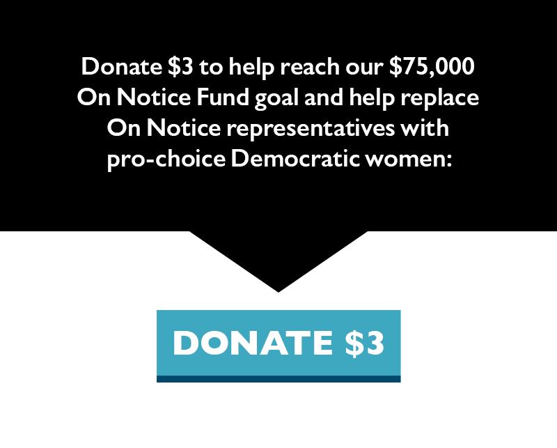 Donate $3 to help reach our $75,000 On Notice Fund goal and help replace On Notice representatives with pro-choice Democratic women.
