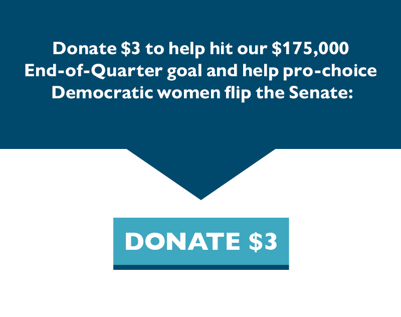 Donate $3 to help hit our $175,000 End-of-Quarter goal and help pro-choice Democratic women flip the Senate.