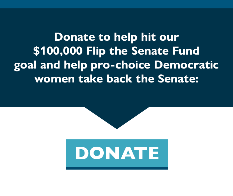 Donate to help hit our $100,000 Flip the Senate Fund goal and help pro-choice Democratic women take back the Senate.
