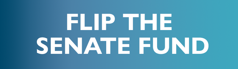 Flip the Senate Fund