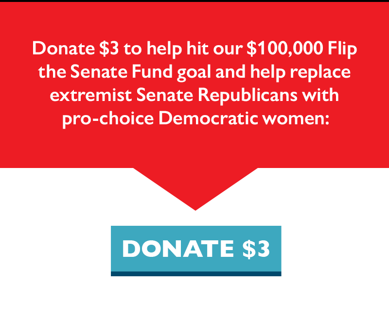 Donate $3 to help hit our $100,000 Flip the Senate Fund goal and help replace extremist Senate Republicans with pro-choice Democratic women.