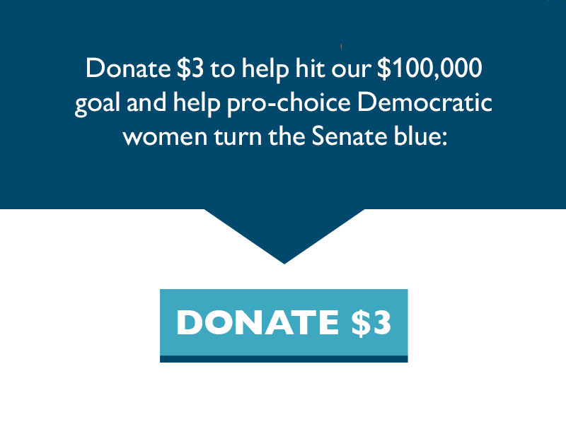 Donate $3 to help hit our $100,000 goal and help pro-choice Democratic women turn the Senate blue.