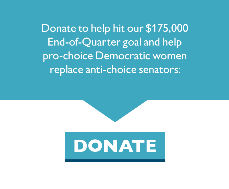 Donate to help hit our $175,000 End-of-Quarter goal and help pro-choice Democratic women replace anti-choice senators.