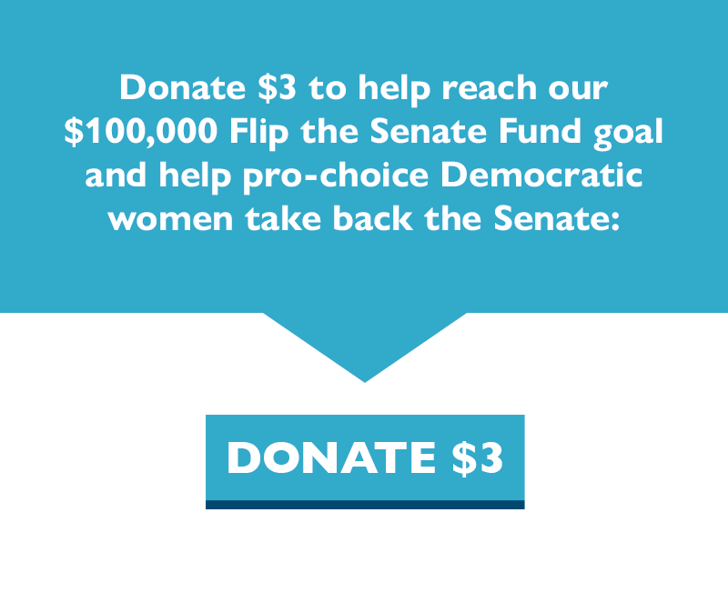 Donate $3 to help reach our $100,000 Flip the Senate Fund goal and help pro-choice Democratic women take back the Senate.