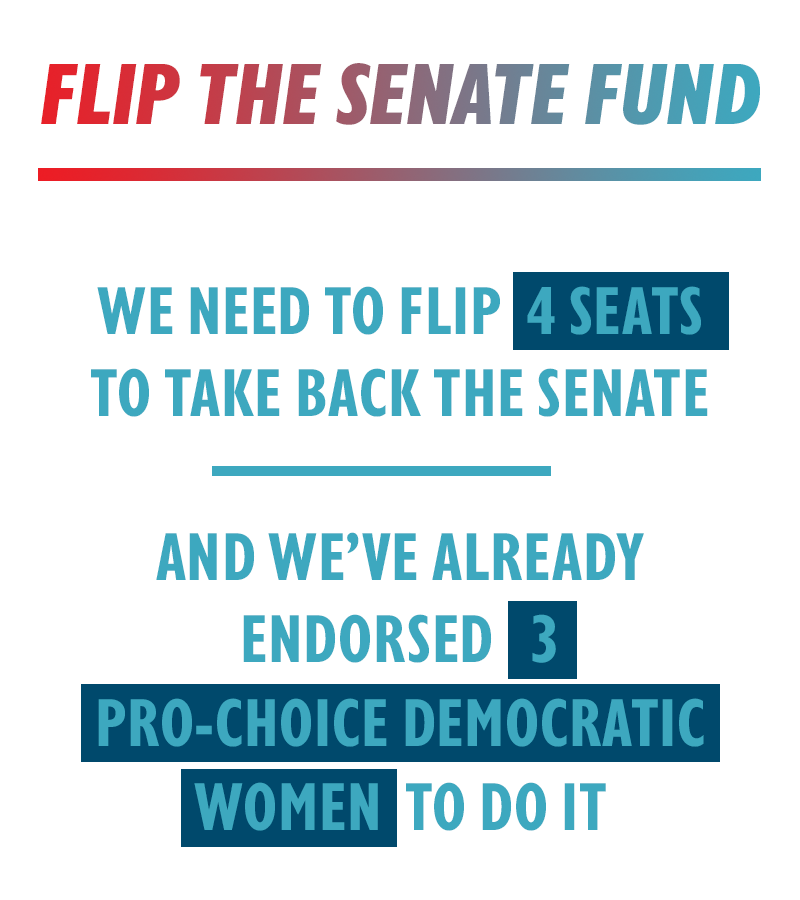 Flip the Senate Fund
We need to flip four seats to take back the Senate, and we've already endorsed three pro-choice Democratic women to do it.