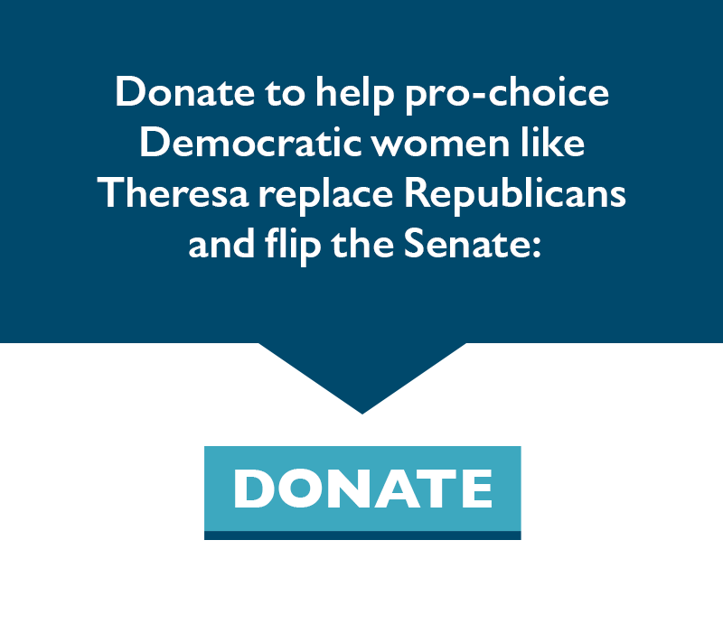 Donate to help pro-choice Democratic women like Theresa replace Republicans and flip the Senate.