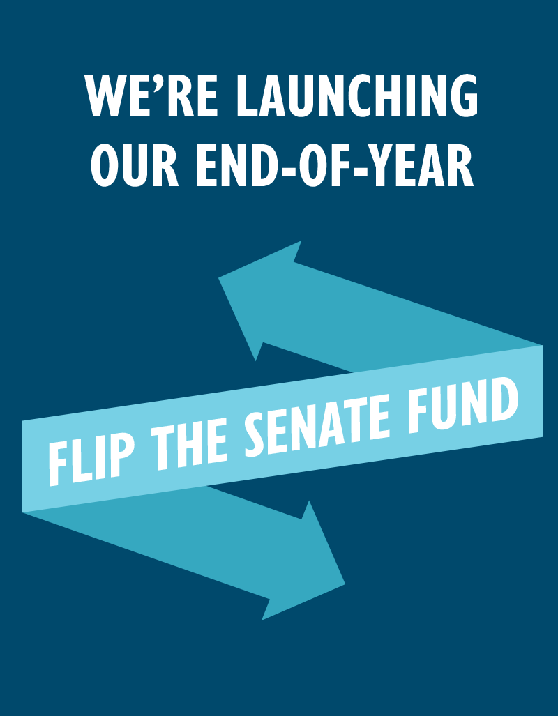 We're launching our End-of-Year Flip the Senate Fund!