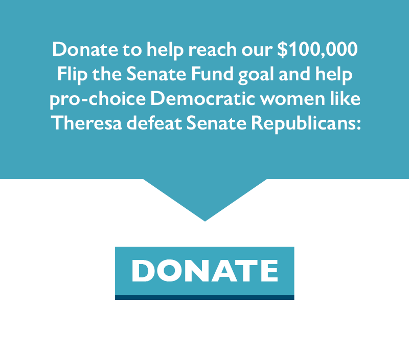 Donate to help reach our $100,000 Flip the Senate Fund goal and help pro-choice Democratic women like Theresa defeat Senate Republicans.