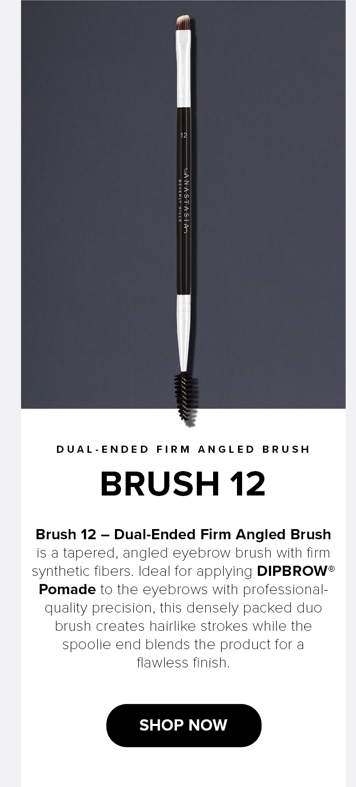 Brush 12 - Shop Now