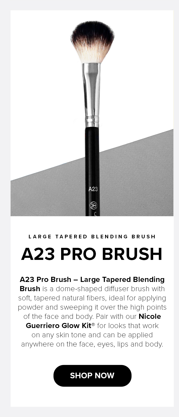 A23 Pro Brush - Shop Now