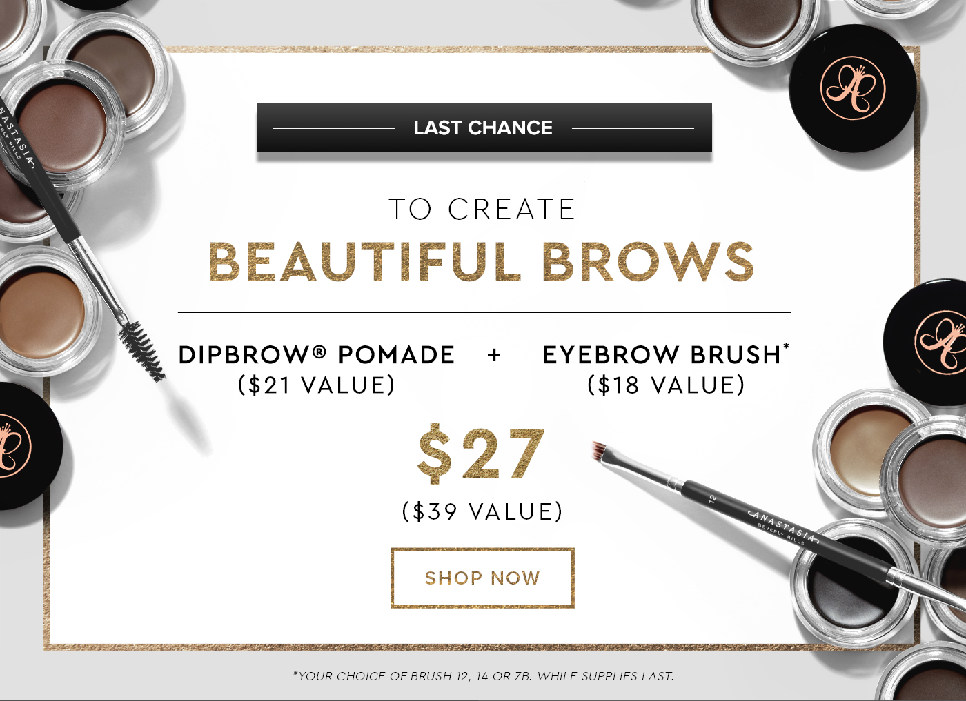 Last Chance to Create Beautiful Brows