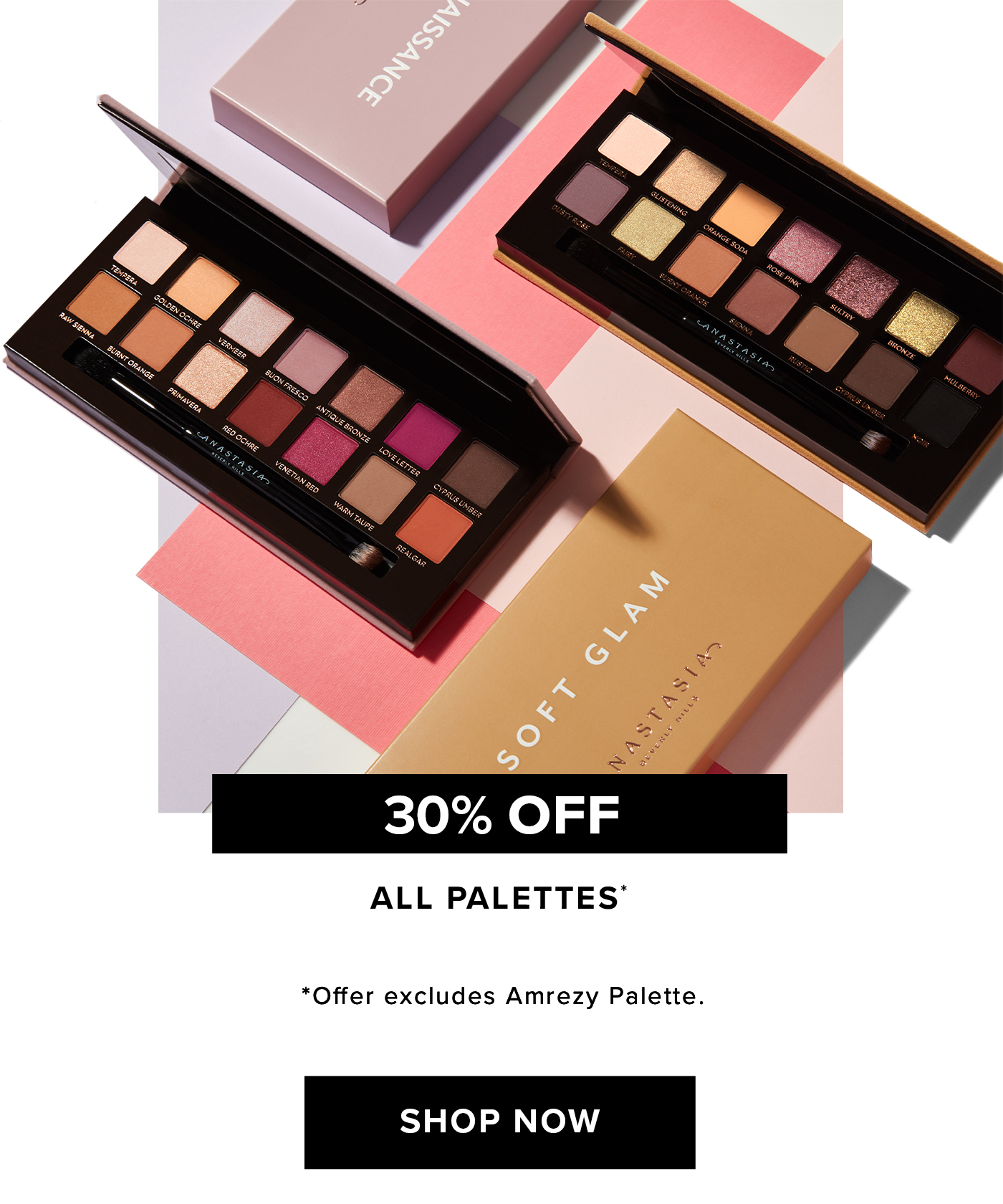 30% OFF ALL PALETTES* *Offer excludes Amrezy Palette. SHOP NOW