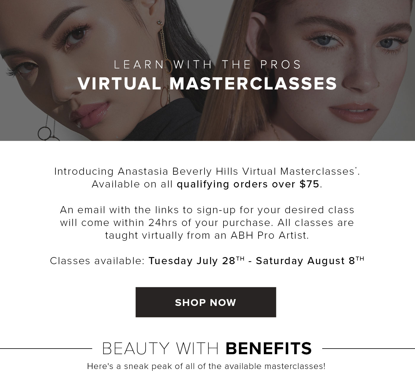 Learn with the Pros - Virtual Masterclasses