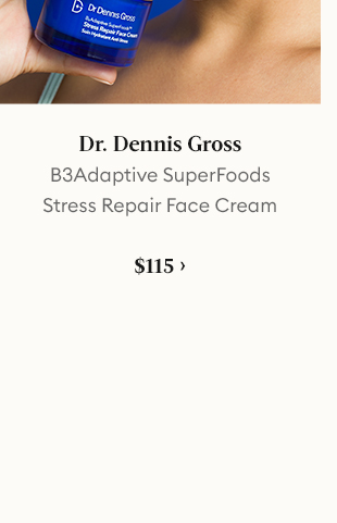 DR. DENNIS GROSS B3Adaptive SuperFoods Stress Repair Face Cream