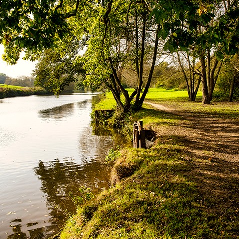 Medway River