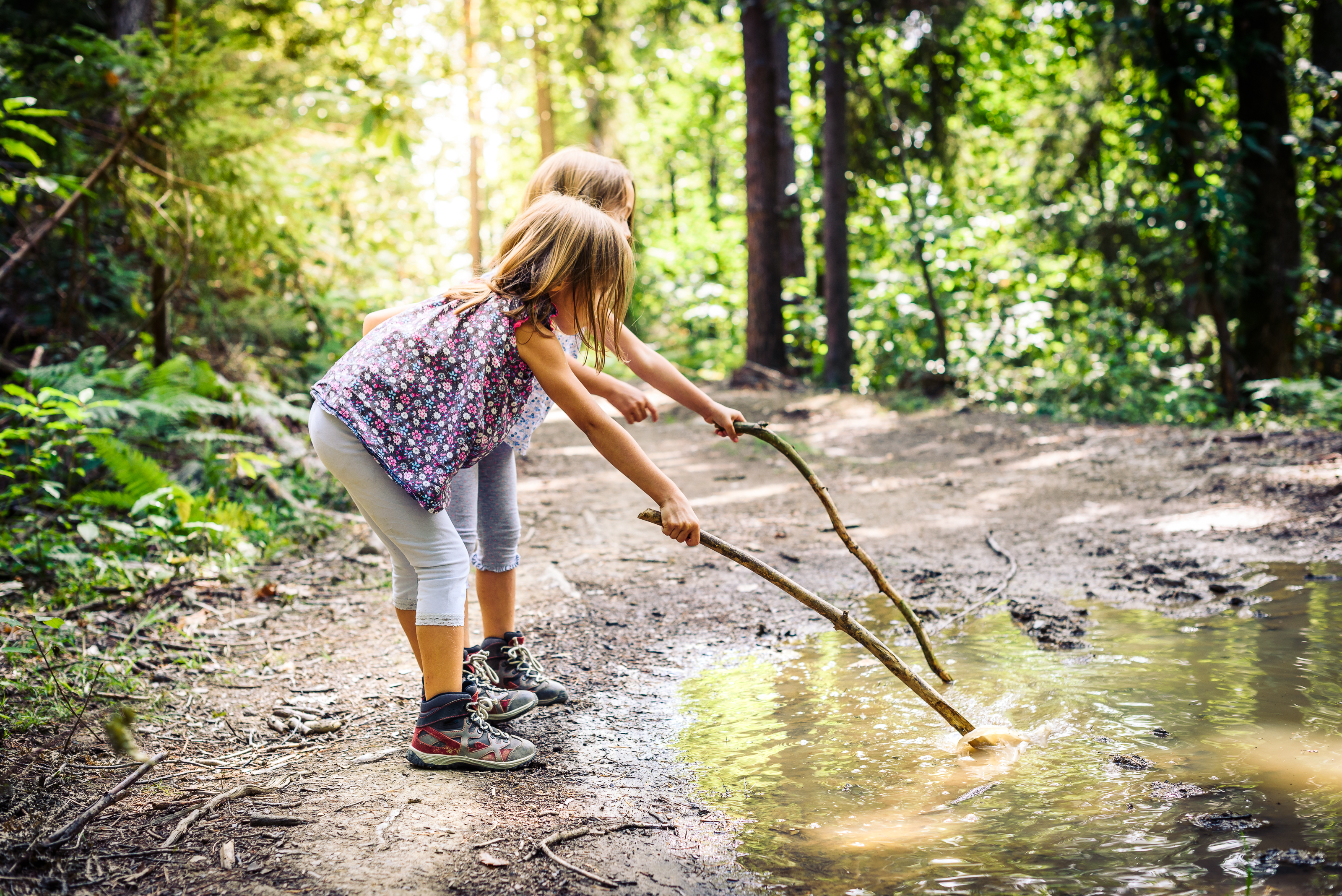 kids in woods, poking sticks into water