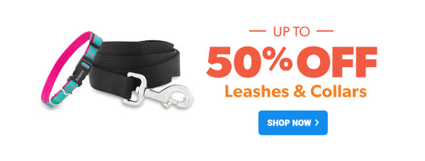 Up To 50% Off Leashes & Collars | Shop Now