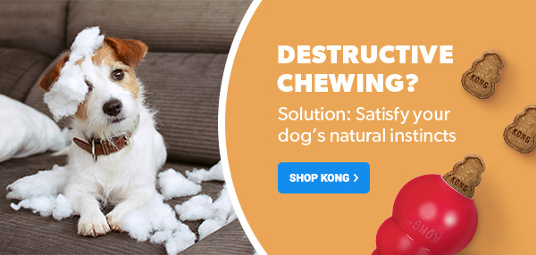 Destructive Chewing? Solution: Satisfy your dog's natural instincts | Shop Now
