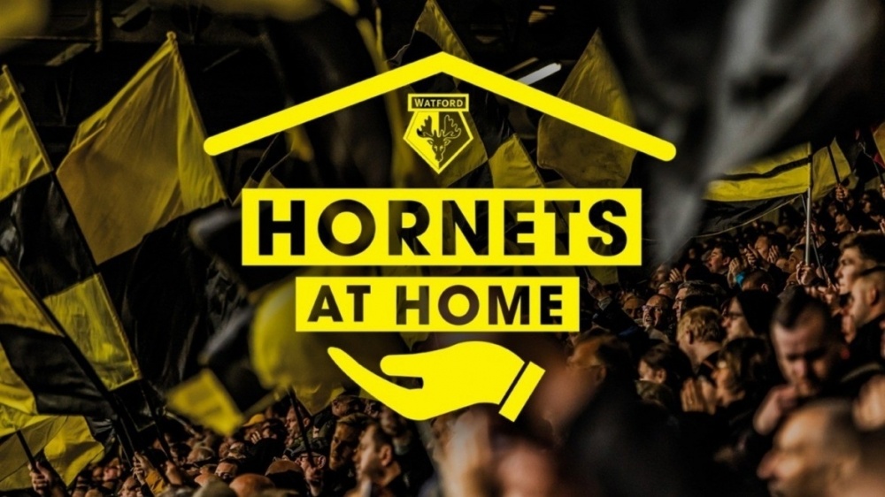 Hornets At Home