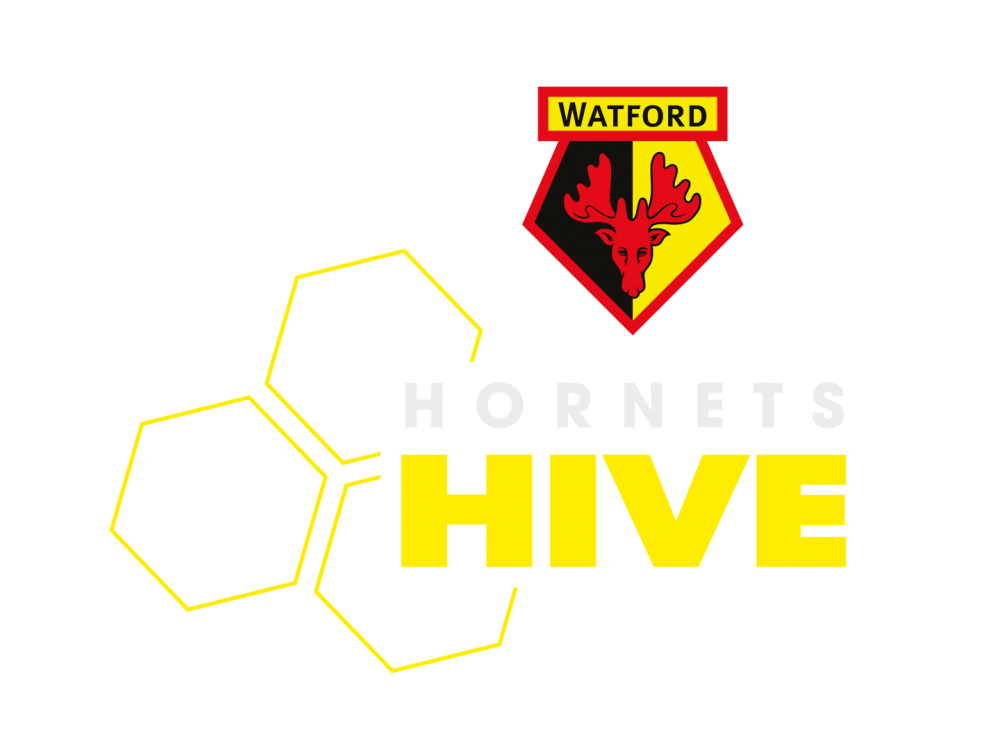Hornets Hive